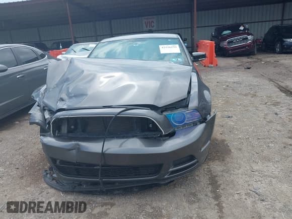 ✅ 2014 Ford Mustang V6 • VIN: 1ZVBP8AM1E5300335 • Lot: 42536194. Listed on IAAI with 125,512 mi. Free auction sales archive from the USA and detailed vehicle history report at DreamBid. Image 2.