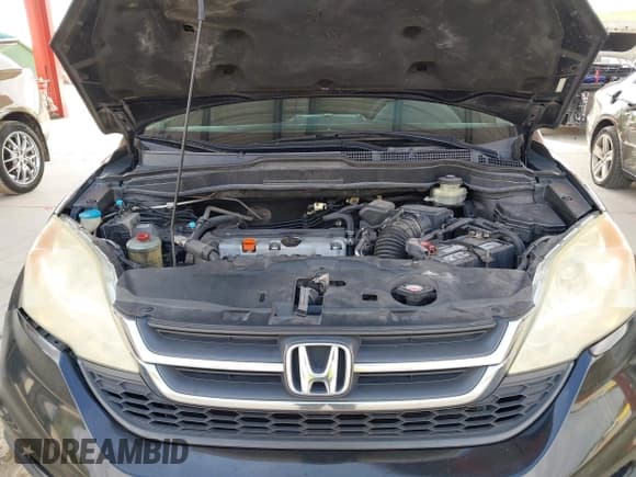 ✅ 2010 Honda CR-V LX • VIN: 5J6RE3H34AL044165 • Лот: 43669160. Опубликован ранее на IAAI с пробегом 247 527 миль. Бесплатный доступ к архиву аукционных продаж из США и подробный отчёт об истории автомобиля на DreamBid. Изображение 10.