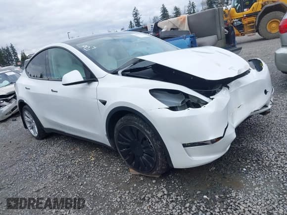 ✅ 2023 Tesla Model Y Long Range • VIN: 7SAYGAEEXPF647352 • Lot: 41955933. Listed on IAAI with Not provided. Free auction sales archive from the USA and detailed vehicle history report at DreamBid. Image 1.