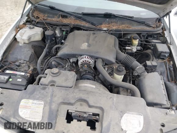 ✅ 1998 Lincoln Town Car Signature • VIN: 1LNFM82WXWY659028 • Lot: 42265774. Listed on IAAI with 164,400 mi. Free auction sales archive from the USA and detailed vehicle history report at DreamBid. Image 10.