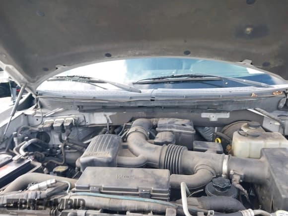 ✅ 2010 Ford F-150 XL • VIN: 1FTFW1CV5AFC04555 • Lot: 41566725. Wystawiony na IAAI z przebiegiem 180 352 mil. Bezpłatny archiwum sprzedaży aukcyjnych z USA i szczegółowy raport historii pojazdu na DreamBid. Zdjęcie 10.