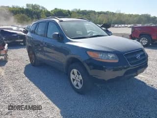✅ 2009 Hyundai Santa Fe GLS • VIN: 5NMSG13D29H317767 • Lot: 43232056. Listed on IAAI with 192,378 mi. Free auction sales archive from the USA and detailed vehicle history report at DreamBid. Image 1.
