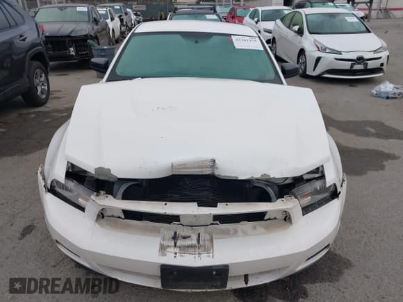 ✅ 2010 Ford Mustang V6 • VIN: 1ZVBP8AN5A5146148 • Lot: 43361975. Listed on IAAI with 91,063 mi. Free auction sales archive from the USA and detailed vehicle history report at DreamBid. Image 13.
