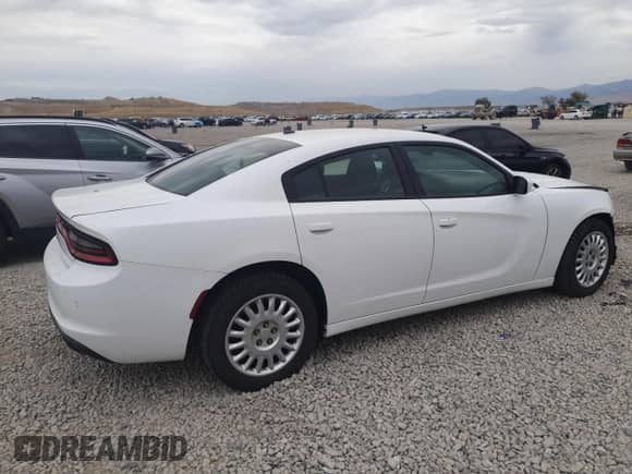 2018 Dodge Charger Police z VIN 2C3CDXKT8JH295495, wystawiony jako Copart lot #70563105 z przebiegiem 133 185 mil mil oraz Szkoda całkowita • Salvage title. Historia ofert i sprzedaży dostępna na DreamBid. Obrazek 3.