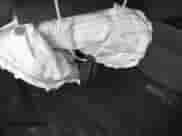 2023 Mitsubishi Outlander SEL с VIN JA4J3VA80PZ022027, выставлен на аукционе IAAI как лот 42180028 с пробегом 13 676 миль миль и . История ставок и продаж доступна на DreamBid. Изображение 11.