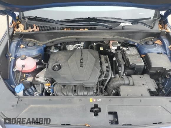 ✅ 2021 Hyundai Santa Fe SE • VIN: 5NMS1DAJ1MH355043 • Lot: 41982143. Listed on Copart with 25,338 mi. Free auction sales archive from the USA and detailed vehicle history report at DreamBid. Image 13.