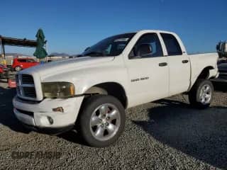 2002 Dodge 1500 with VIN 1D7HA18Z92J234374, listed as a Copart auction lot 84521965 with 314,377 mi miles and Salvage title. Bid and sale history available at DreamBid. Image 1.