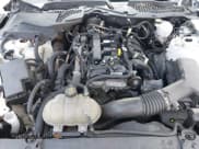 ✅ 2021 Ford Mustang EcoBoost • VIN: 1FA6P8TH6M5115299 • Lot: 42344897. Wystawiony na IAAI z przebiegiem 43 190 mil. Bezpłatny archiwum sprzedaży aukcyjnych z USA i szczegółowy raport historii pojazdu na DreamBid. Zdjęcie 10.