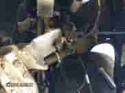 2023 Mercedes-Benz CLA 250 z VIN W1K5J4GB2PN412599, wystawiony jako IAAI lot #42912264 z przebiegiem 2 603 mil mil oraz . Historia ofert i sprzedaży dostępna na DreamBid. Obrazek 21.