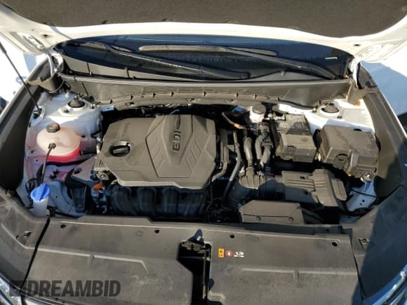 ✅ 2024 Hyundai Tucson SEL • VIN: 5NMJB3DE7RH318779 • Lot: 86654245. Wystawiony na Copart z przebiegiem 26 801 mil. Bezpłatny archiwum sprzedaży aukcyjnych z USA i szczegółowy raport historii pojazdu na DreamBid. Zdjęcie 12.