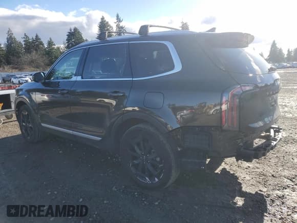 ✅ 2023 Kia Telluride EX X-Line • VIN: 5XYP3DGC3PG403391 • Lot: 92911245. Listed on Copart with 50,475 mi. Free auction sales archive from the USA and detailed vehicle history report at DreamBid. Image 2.