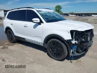 ✅ 2024 Kia Telluride SX X-Pro • VIN: 5XYP5DGC2RG533689 • Lot: 42209421. Wystawiony na IAAI z przebiegiem 19 325 mil. Bezpłatny archiwum sprzedaży aukcyjnych z USA i szczegółowy raport historii pojazdu na DreamBid. Zdjęcie 1.