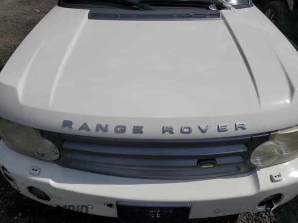 ✅ 2009 Land Rover Range Rover HSE • VIN: SALMF15479A299567 • Lot: 49981165. Wystawiony na Copart z przebiegiem Nie podano. Bezpłatny archiwum sprzedaży aukcyjnych z USA i szczegółowy raport historii pojazdu na DreamBid. Zdjęcie 12.