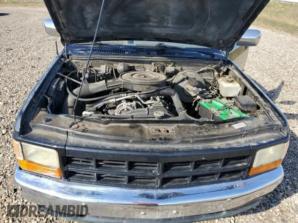 ✅ 1995 Dodge Dakota • VIN: 1B7GG23Y1SS373160 • Лот: 81978235. Опубликован ранее на Copart с пробегом 185 175 миль. Бесплатный доступ к архиву аукционных продаж из США и подробный отчёт об истории автомобиля на DreamBid. Изображение 11.