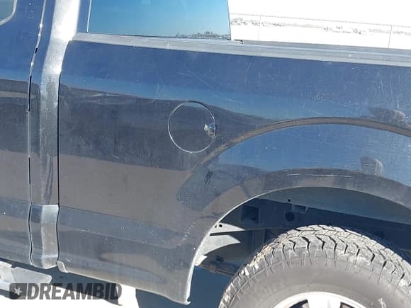 ✅ 2015 Ford F-150 XL • VIN: 1FTEX1CP3FKF01719 • Lot: 40852480. Listed on IAAI with 116,291 mi. Free auction sales archive from the USA and detailed vehicle history report at DreamBid. Image 19.