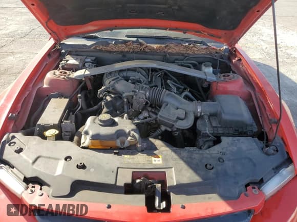 ✅ 2012 Ford Mustang V6 • VIN: 1ZVBP8EM3C5230540 • Lot: 56689155. Listed on Copart with 190,401 mi. Free auction sales archive from the USA and detailed vehicle history report at DreamBid. Image 11.