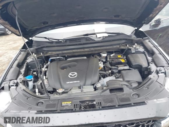 ✅ 2023 Mazda CX-5 S Premium Plus • VIN: JM3KFBEM9P0125871 • Лот: 43088388. Опубликован ранее на IAAI с пробегом 31 690 миль. Бесплатный доступ к архиву аукционных продаж из США и подробный отчёт об истории автомобиля на DreamBid. Изображение 10.