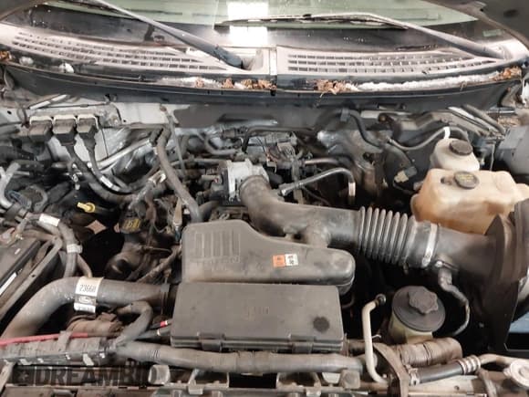 ✅ 2010 Ford F-150 XL • VIN: 1FTEX1EW8AFC67521 • Lot: 41408030. Listed on IAAI with 137,121 mi. Free auction sales archive from the USA and detailed vehicle history report at DreamBid. Image 10.