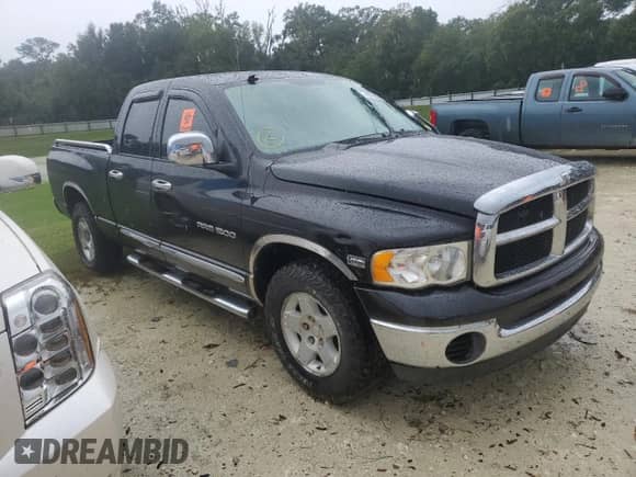2004 Dodge 1500 SLT z VIN 1D7HA18D14S575012, wystawiony jako Copart lot #74359244 z przebiegiem Nie podano mil oraz Szkoda całkowita • Salvage title. Historia ofert i sprzedaży dostępna na DreamBid. Obrazek 4.
