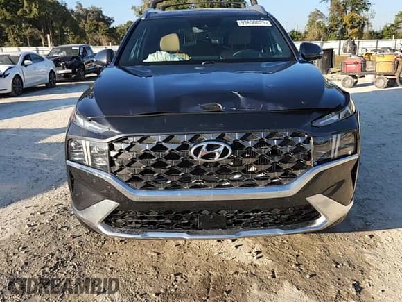 ✅ 2023 Hyundai Santa Fe Calligraphy • VIN: 5NMS5DAL6PH643943 • Lot: 93630025. Listed on Copart with 33,221 mi. Free auction sales archive from the USA and detailed vehicle history report at DreamBid. Image 14.