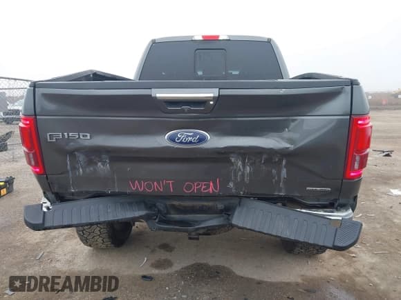 ✅ 2015 Ford F-150 XLT • VIN: 1FTFX1EF1FFB62489 • Lot: 41503088. Listed on IAAI with 133,658 mi. Free auction sales archive from the USA and detailed vehicle history report at DreamBid. Image 17.