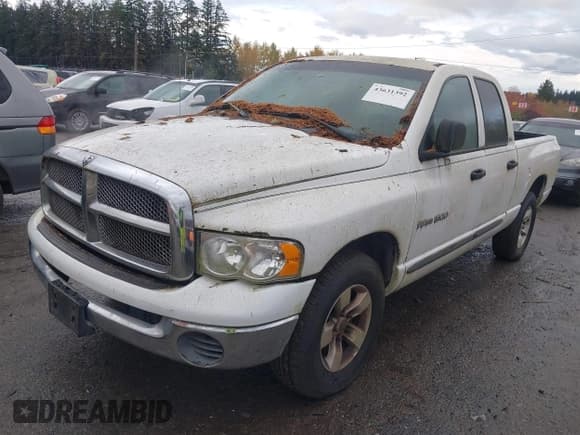 ✅ 2002 Dodge 1500 • VIN: 3D7HA18N22G114060 • Лот: 43631392. Опубликован ранее на IAAI с пробегом 157 247 миль. Бесплатный доступ к архиву аукционных продаж из США и подробный отчёт об истории автомобиля на DreamBid. Изображение 2.