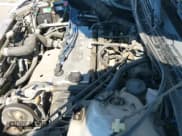 ✅ 1999 Honda Accord LX • VIN: JHMCG5545XC028563 • Lot: 42461054. Wystawiony na IAAI z przebiegiem 212 100 mil. Bezpłatny archiwum sprzedaży aukcyjnych z USA i szczegółowy raport historii pojazdu na DreamBid. Zdjęcie 20.