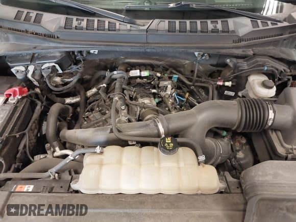 ✅ 2020 Ford F-150 XL • VIN: 1FTEX1EP6LFA29582 • Lot: 42030407. Listed on IAAI with 125,035 mi. Free auction sales archive from the USA and detailed vehicle history report at DreamBid. Image 10.