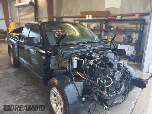 ✅ 2004 Dodge Dakota SLT • VIN: 1D7GL42N24S602503 • Lot: 43542014. Listed on IAAI with Not provided. Free auction sales archive from the USA and detailed vehicle history report at DreamBid. Image 1.