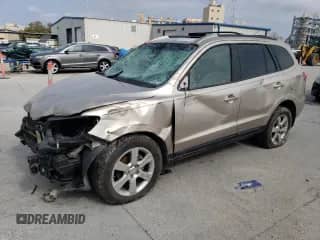 2007 Hyundai Santa Fe SE с VIN 5NMSH13EX7H110546, выставлен на аукционе Copart как лот 48043634 с пробегом 104 566 миль миль и Списание • Salvage title. История ставок и продаж доступна на DreamBid. Изображение 1.