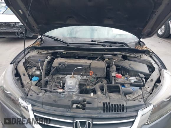 ✅ 2014 Honda Accord EX-L • VIN: 1HGCR2F8XEA283599 • Lot: 43710395. Wystawiony na IAAI z przebiegiem 59 102 mil. Bezpłatny archiwum sprzedaży aukcyjnych z USA i szczegółowy raport historii pojazdu na DreamBid. Zdjęcie 10.