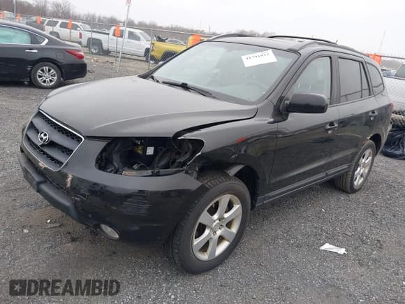 ✅ 2009 Hyundai Santa Fe SE • VIN: 5NMSH13E49H330039 • Lot: 41791815. Listed on IAAI with 136,358 mi. Free auction sales archive from the USA and detailed vehicle history report at DreamBid. Image 18.