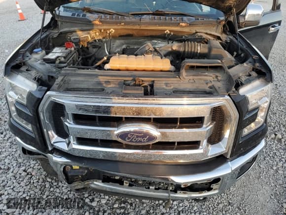 ✅ 2016 Ford F-150 XLT • VIN: 1FTEW1EF7GFD02948 • Lot: 91801225. Listed on Copart with 131,601 mi. Free auction sales archive from the USA and detailed vehicle history report at DreamBid. Image 11.