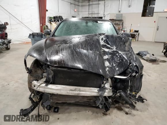 ✅ 2016 Audi A4 Premium • VIN: WAUDFAFL5GN009309 • Lot: 51592665. Listed on Copart with Not provided. Free auction sales archive from the USA and detailed vehicle history report at DreamBid. Image 5.