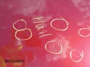 ✅ 2002 Oldsmobile Alero GX • VIN: 1G3NK52F52C303839 • Lot: 42632849. Listed on IAAI with 134,169 mi. Free auction sales archive from the USA and detailed vehicle history report at DreamBid. Image 6.