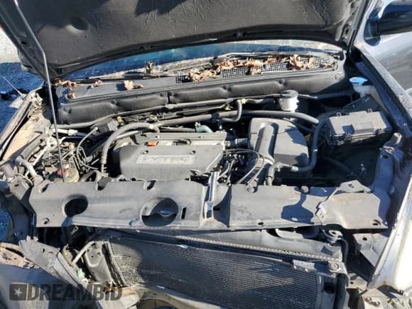 ✅ 2003 Honda CR-V EX • VIN: SHSRD78873U142469 • Lot: 92651925. Listed on Copart with 255,077 mi. Free auction sales archive from the USA and detailed vehicle history report at DreamBid. Image 12.