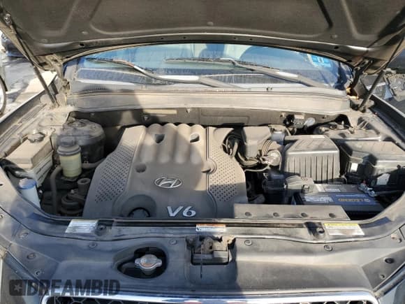 ✅ 2007 Hyundai Santa Fe GLS • VIN: 5NMSG13D37H099934 • Lot: 78038334. Listed on Copart with 118,172 mi. Free auction sales archive from the USA and detailed vehicle history report at DreamBid. Image 12.