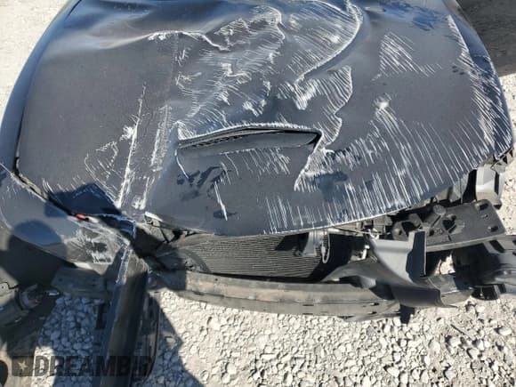 ✅ 2019 Dodge Charger R/T • VIN: 2C3CDXCT1KH508139 • Lot: 82229495. Listed on Copart with 80,030 mi. Free auction sales archive from the USA and detailed vehicle history report at DreamBid. Image 11.