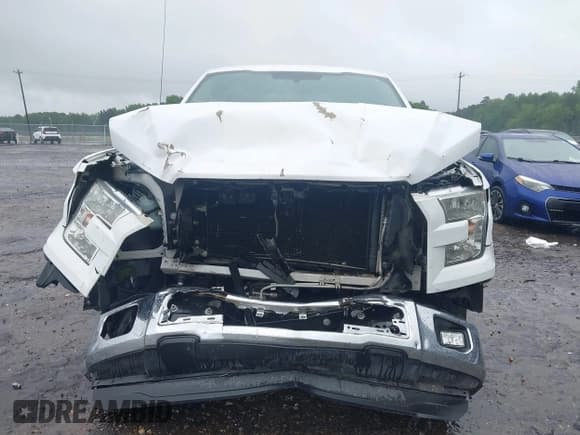 ✅ 2016 Ford F-150 XL • VIN: 1FTEX1CF9GKF01457 • Lot: 42081417. Wystawiony na IAAI z przebiegiem 94 311 mil. Bezpłatny archiwum sprzedaży aukcyjnych z USA i szczegółowy raport historii pojazdu na DreamBid. Zdjęcie 12.