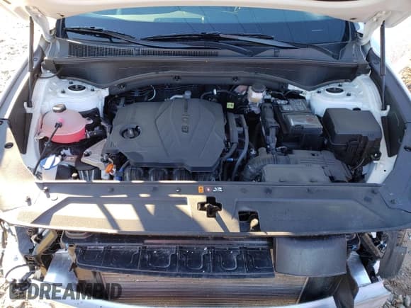 ✅ 2023 Hyundai Santa Fe XRT • VIN: 5NMS64AJ9PH515031 • Lot: 77435453. Wystawiony na Copart z przebiegiem 15 676 mil. Bezpłatny archiwum sprzedaży aukcyjnych z USA i szczegółowy raport historii pojazdu na DreamBid. Zdjęcie 11.