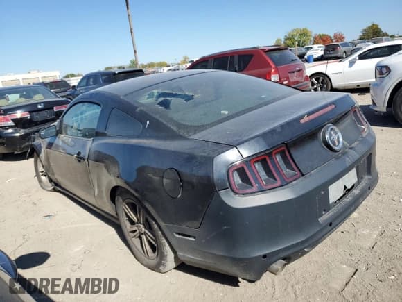 ✅ 2014 Ford Mustang V6 • VIN: 1ZVBP8AM0E5274262 • Лот: 82418225. Опубликован ранее на Copart с пробегом 159 355 миль. Бесплатный доступ к архиву аукционных продаж из США и подробный отчёт об истории автомобиля на DreamBid. Изображение 2.