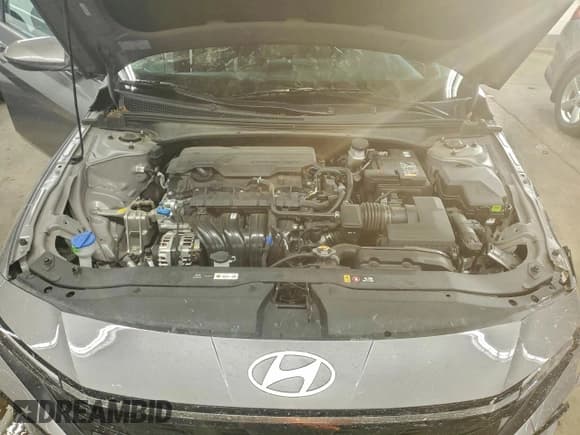 ✅ 2025 Hyundai Elantra SEL Convenience • VIN: KMHLS4DG0SU973070 • Лот: 96445845. Опубликован ранее на Copart с пробегом 18 977 миль. Бесплатный доступ к архиву аукционных продаж из США и подробный отчёт об истории автомобиля на DreamBid. Изображение 11.