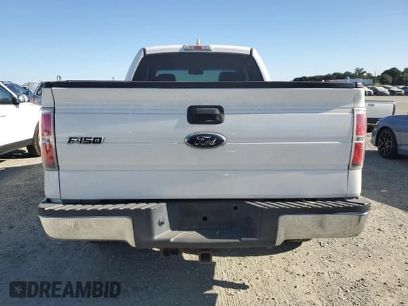 ✅ 2009 Ford F-150 XL • VIN: 1FTPX14V49FA17190 • Lot: 66965305. Listed on Copart with 225,005 mi. Free auction sales archive from the USA and detailed vehicle history report at DreamBid. Image 6.