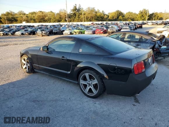 ✅ 2009 Ford Mustang • VIN: 1ZVHT80NX95101774 • Lot: 85192005. Listed on Copart with 95,300 mi. Free auction sales archive from the USA and detailed vehicle history report at DreamBid. Image 2.