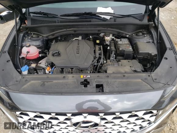 ✅ 2021 Hyundai Santa Fe SEL • VIN: 5NMS34AJ5MH340135 • Lot: 44290933. Wystawiony na Copart z przebiegiem 33 190 mil. Bezpłatny archiwum sprzedaży aukcyjnych z USA i szczegółowy raport historii pojazdu na DreamBid. Zdjęcie 11.