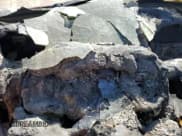 ✅ 2011 Ram 1500 Laramie Longhorn • VIN: 1D7RB1CT1BS612444 • Lot: 49959575. Wystawiony na Copart z przebiegiem Nie podano. Bezpłatny archiwum sprzedaży aukcyjnych z USA i szczegółowy raport historii pojazdu na DreamBid. Zdjęcie 9.