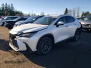 ✅ 2023 Lexus NX 250 • VIN: 2T2ADCEZ7PC003569 • Lot: 80216874. Listed on Copart with 15,142 mi. Free auction sales archive from the USA and detailed vehicle history report at DreamBid. Image 1.