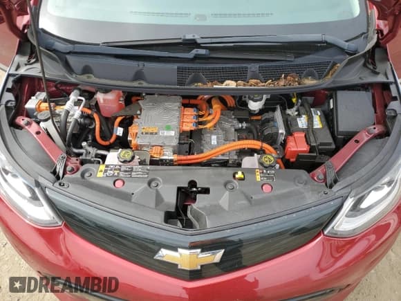 ✅ 2018 Chevrolet Bolt EV LT • VIN: 1G1FW6S06J4109851 • Lot: 49623055. Wystawiony na Copart z przebiegiem 52 084 mil. Bezpłatny archiwum sprzedaży aukcyjnych z USA i szczegółowy raport historii pojazdu na DreamBid. Zdjęcie 11.