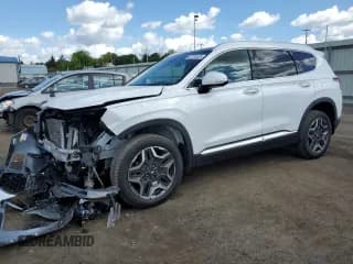 ✅ 2021 Hyundai Santa Fe Limited • VIN: 5NMS4DAL6MH365799 • Lot: 52704634. Wystawiony na Copart z przebiegiem 32 761 mil. Bezpłatny archiwum sprzedaży aukcyjnych z USA i szczegółowy raport historii pojazdu na DreamBid. Zdjęcie 1.