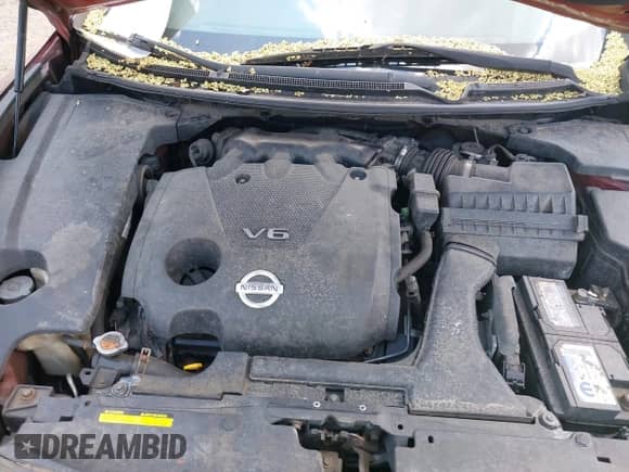 2013 Nissan Maxima SV с VIN 1N4AA5AP8DC811209, выставлен на аукционе IAAI как лот 42803509 с пробегом 121 233 миль миль и . История ставок и продаж доступна на DreamBid. Изображение 10.